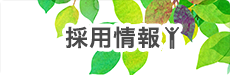 採用情報はこちら